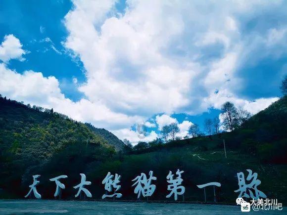 李嘉欣和许晋亨现身马场，夫妻俩手牵手亮相，展现出恩爱的一面！