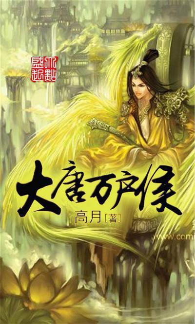 彼得比尔特379拼图