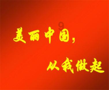 针对首都体育学院的报考，你做了哪些准备？