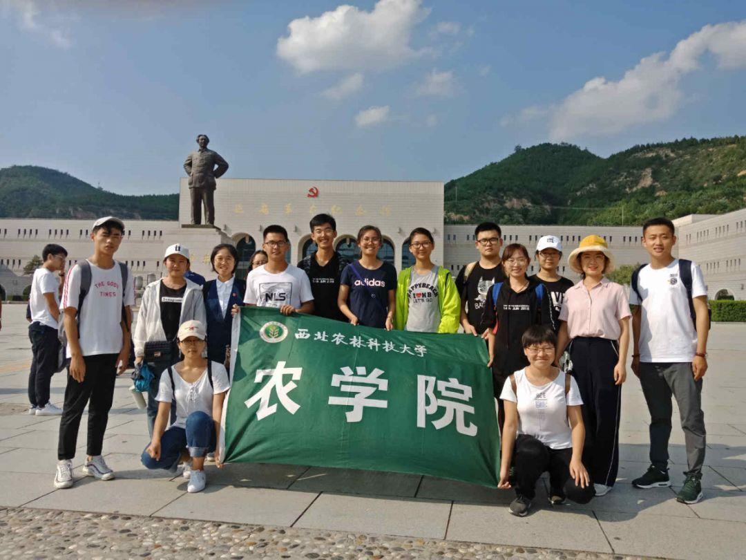 逃离绿色山谷