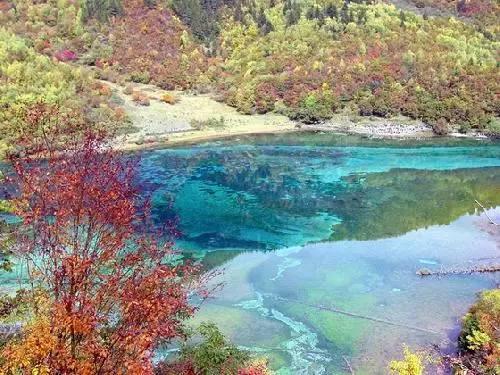 普莱柯:已累计回购144.92万股,耗资2541万元